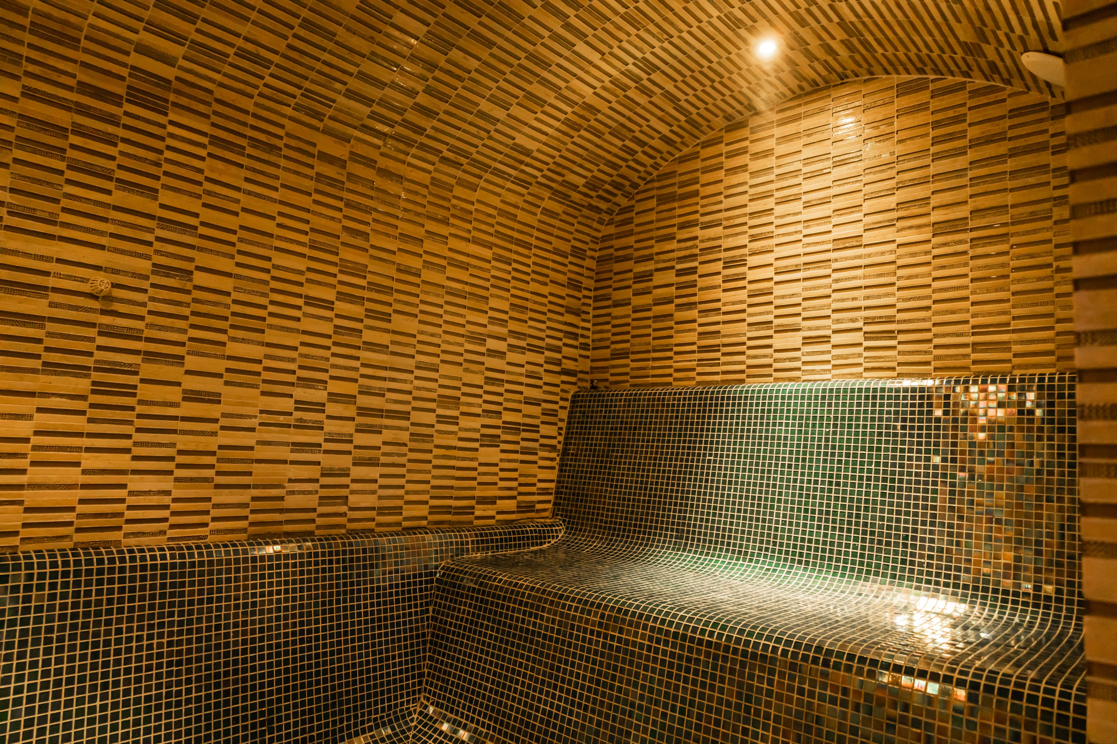 Steam Bath